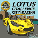 Java Lotus Challenge