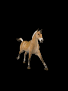 Лошадь Лошадь