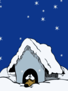 Собака Собака