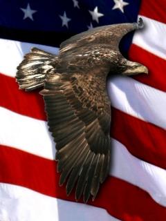 Орел на фоне Американского флага