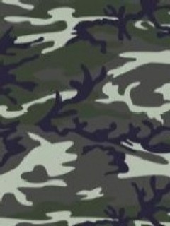 Camouflage Camouflage