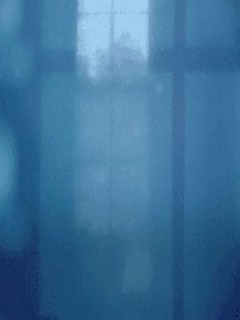 Glass windows Glass windows