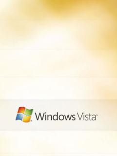 Логотип Windows Виста в оранжевых тонах