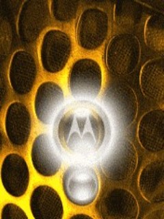 Bee MOTO Bee MOTO