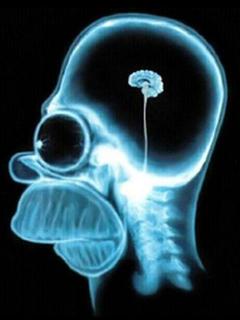 Маленький мозг Гомера