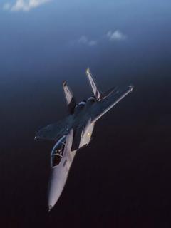 Самолет F14 Самолет F14