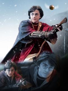 Гарри Поттер Гарри Поттер