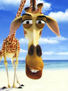Жираф из мультфильма Мадакаскар