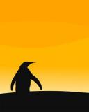 Черный пингвин на желтом фоне