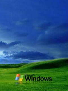 Луга Windows XP