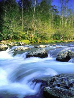 Лесной водопад Лесной водопад